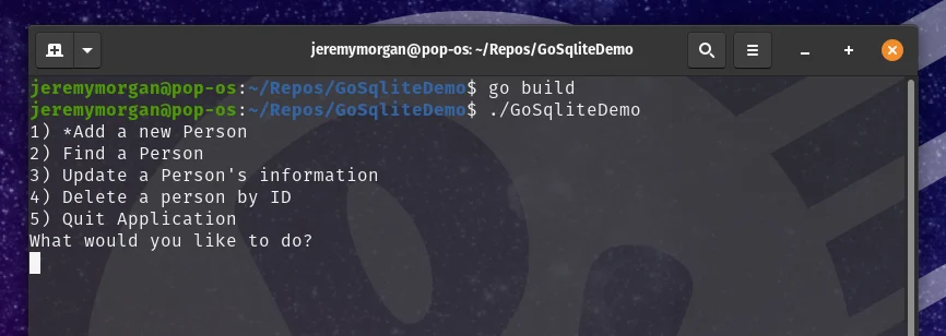 How to use SQLite with Go